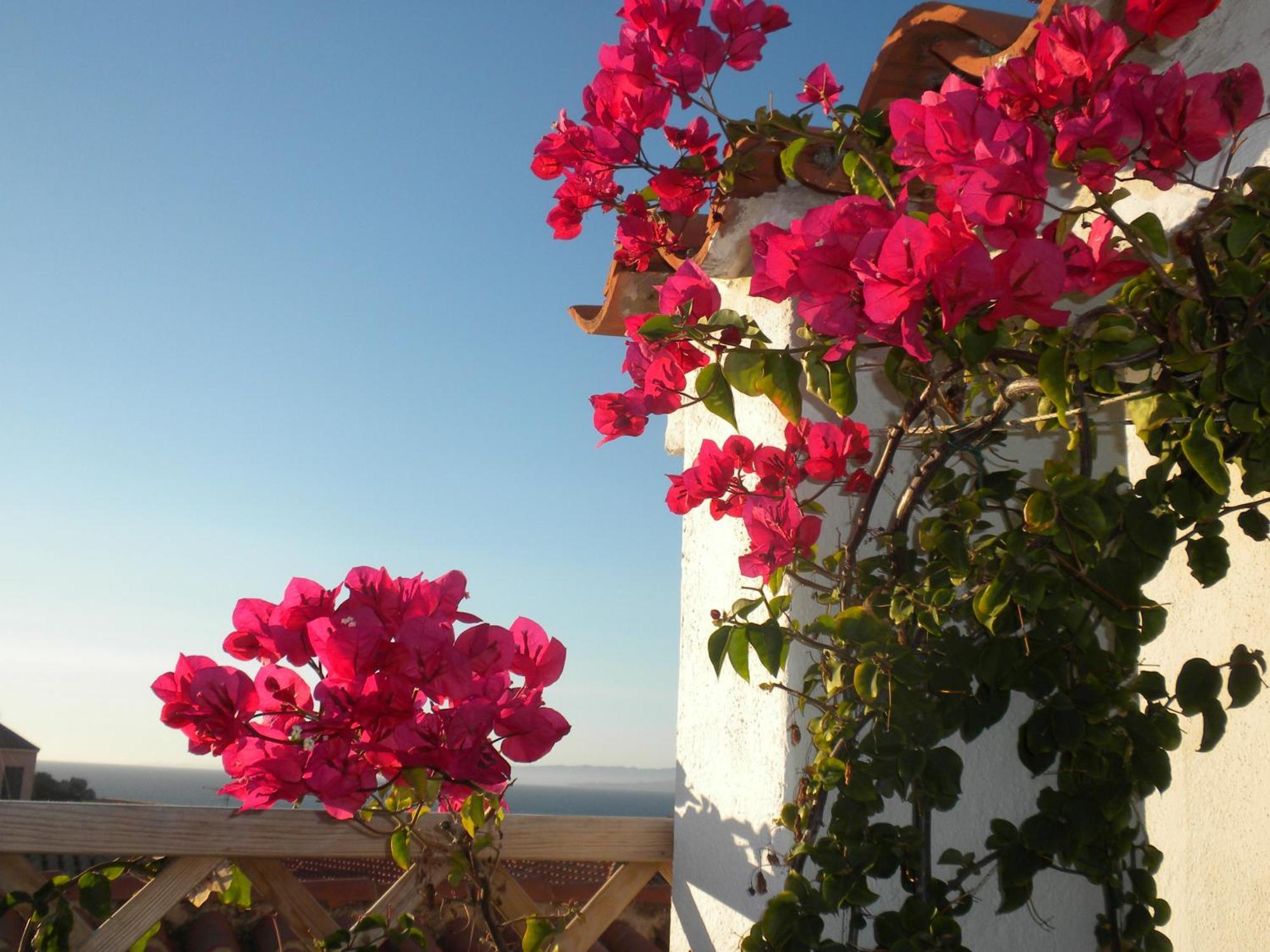B&B Domus De Janas Santa Teresa Gallura Exterior photo